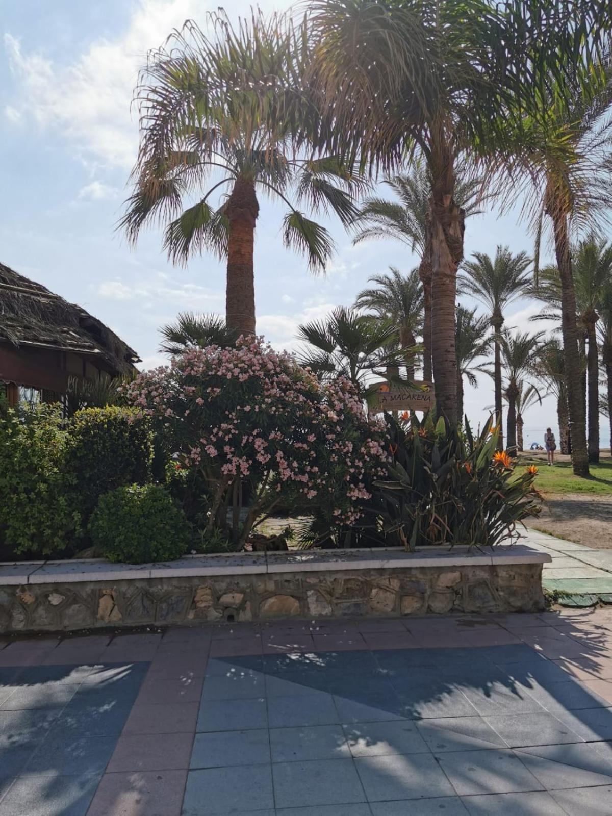Apartamento En El Centro De Torremolinos Eksteriør billede